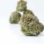 Buy Sativa Vancouver