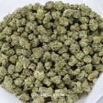 Forbidden Punch cannabis with sweet grape and passionfruit flavours. Wholesale