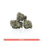 Juicy Fruit cannabis with tropical flavors. Order this balanced hybrid online.