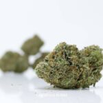 Buy Las Vegas Bubba Cannabis Online Canada