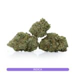 Buy Las Vegas Bubba Cannabis Online Canada