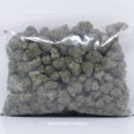 Buy Bulk Weed Online Canada - Modified Punch