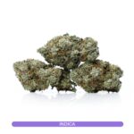 Buy Petroleum Nightmare Weed