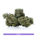 Super Nuken strain featuring heavy, couch-locking effects ideal for relaxation, with a skunky berry flavor and spicy blueberry notes