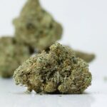 Green Valley's AAA Strawberry Frost - Image 4