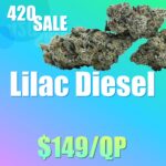 AAAA Lilac Diesel ***SEEDS***