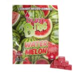 Burn Bites Watermelon 250mg THC Gummies
