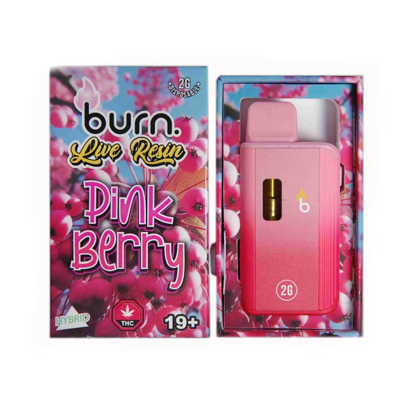 burn disposable vapes Highly Concentr8ed Delta 8 Disposable 2g main image 0