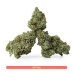 Buy Sativa Strains Canada - Acapulco Gold