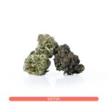 Buy Sativa Strains Canada - Fruit Loops Smalls