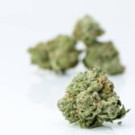 Goji Berry Smalls - Buy Cheap Ounces Canada