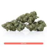 Sativa Diva's AAA Slazerbeam
