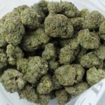 Bulk Blackberry Cheesecake by Green Valley