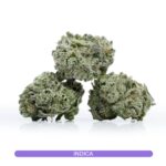 Buy Weed Online Canada - Cherry Gas Smalls Close Up