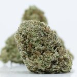 Green Valley's AAA Cotton Candy - Image 2