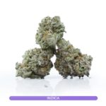 Buy Premium Indica Strains Online Canada - Florida Grapes