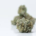 Green Valley's AAAA+ Florida Grapes Smalls - Image 2