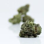 Close Up Ghost OG Smalls