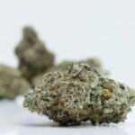 Close Up Glitterati - Weed Photography