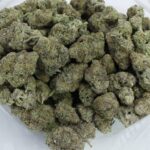 Green Valley's AAAA+ Glitterati - Image 4