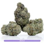 Glitterati by Green Valley - Premium Weed - Cannabis Buds