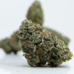 Green Valley's AAAA+ Malibu Marker - Image 2