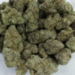 Green Valley's AAAA+ Malibu Marker - Image 4