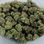 AAA Purple Gelato - Image 3