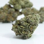 AAA Purple Gelato - Image 2