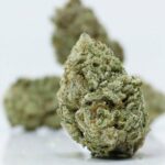 Close-up of Silver Skunk cannabis flower with amber trichomes – Canadian dispensary product