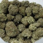 Tropicana Banana Bulk