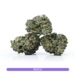 High-quality Violet Flame nug with dense structure and orange hairs, perfect for shoppers searching for bulk cannabis options in Canada.