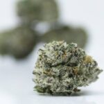 Violet Flame cannabis bud close-up showing purple undertones and frosty trichomes, ideal for customers looking to buy premium flower in Canada.