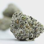Canna Cabana's AAAA+ Violet Flame Smalls - Image 2