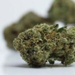 AAA 91 Royale - Image 2