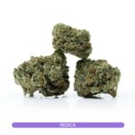 AAA Girl Scout Cookies Small/Med.