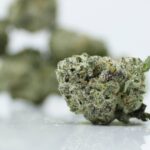 Green Valley AAA Gummy Bear OG Smalls - Image 2