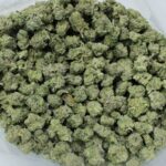 Green Valley AAA Gummy Bear OG Smalls - Image 3