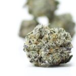 Canna Cabana's AAAA+ Rainbow Marker Smalls - Image 2