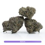 Buy Premium Weed Online Vancouver