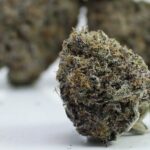 Cinqo Farms AAAA Bubblegum X Purple Kush - Image 2