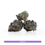 Cinqo Farms AAAA El Chapo Smalls