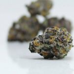 Cinqo Farms AAAA El Chapo Smalls - Image 2