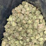 AAA+ DEATH BUBBA SMALLS