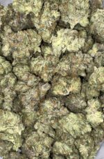 AAA-ROCKSTAR-MEDIUMS