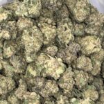 AAAA-BLACK-DRAGON-MEDIUMS