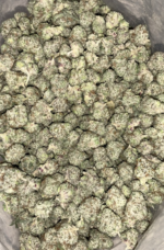 AAAA-BLUEBERRY-GUSHERS-MEDIUMS