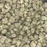 AAAA-BLUEBERRY-GUSHERS-MEDIUMS