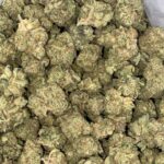 AAAA-DUTCH-DRAGON-KUSH-MEDIUMS