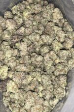 AAAA+ Purple Jiggler Mediums by Exo Fuel - Image 2